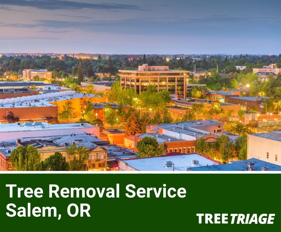 Tree Removal Service Salem, OR-1