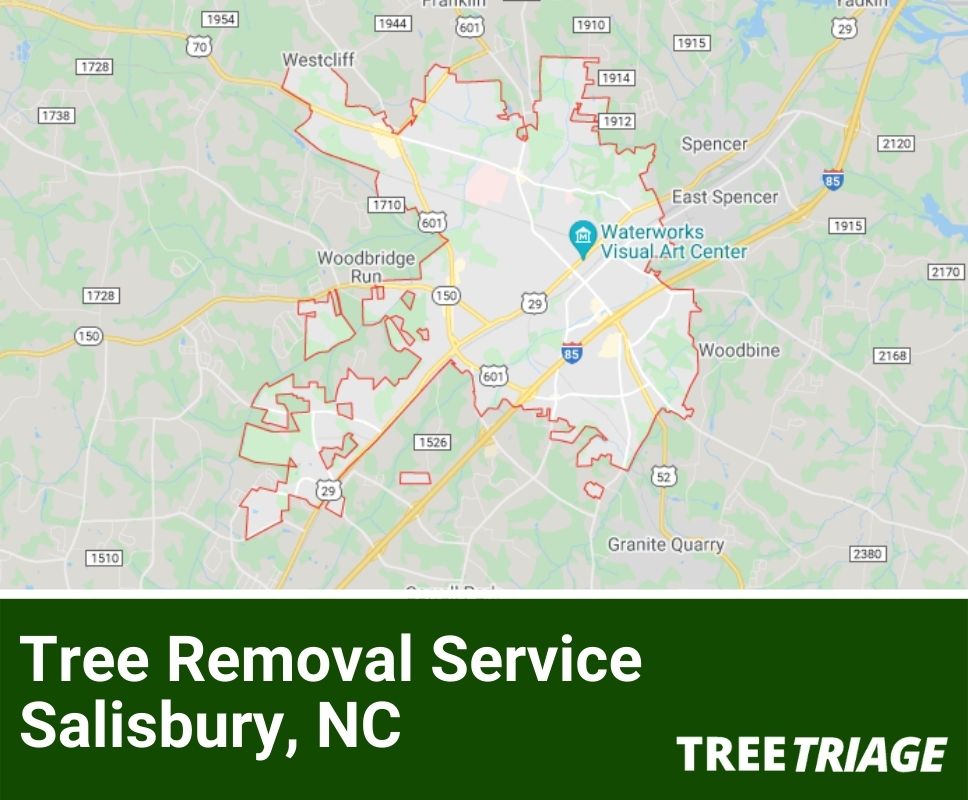 Tree Removal Service Salisbury, NC-1