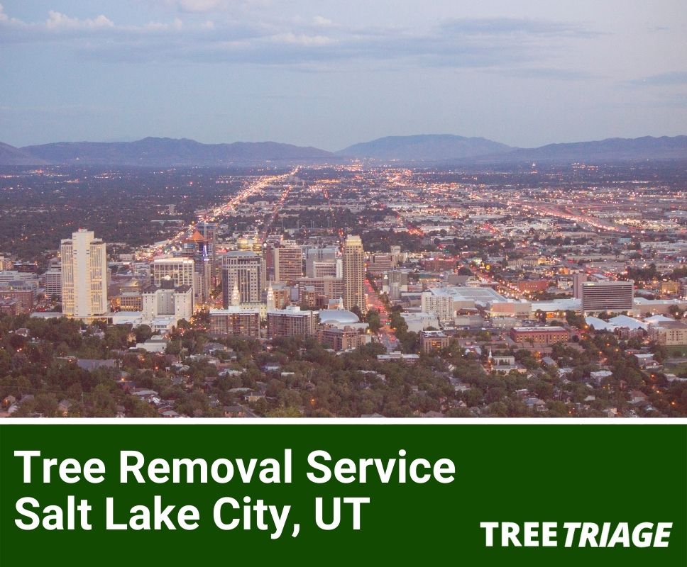 Tree Removal Service Salt Lake City, UT-1