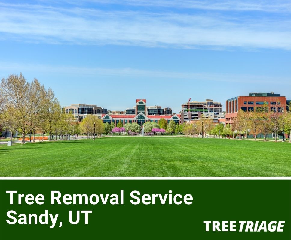 Tree Removal Service Sandy, UT-1
