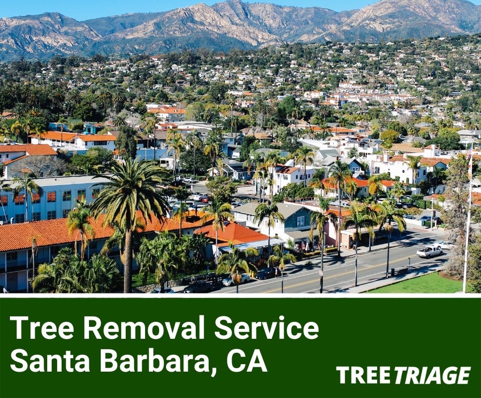 Tree Removal Service Santa Barbara, CA-1(1)