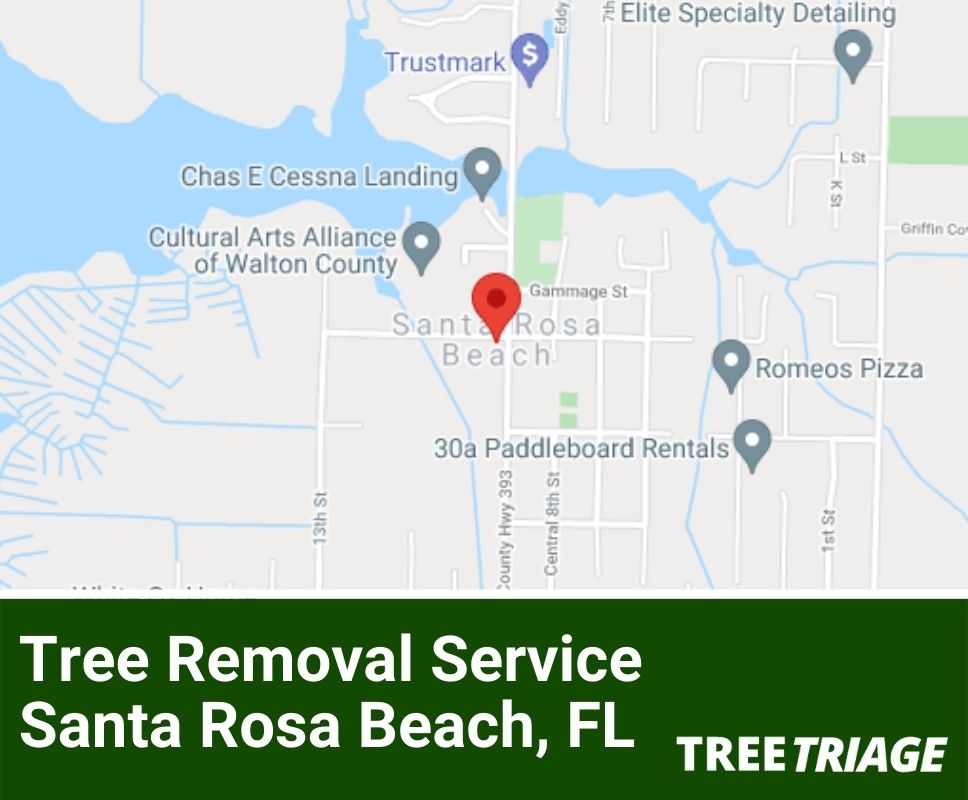 Tree Removal Service Santa Rosa Beach, FL-1