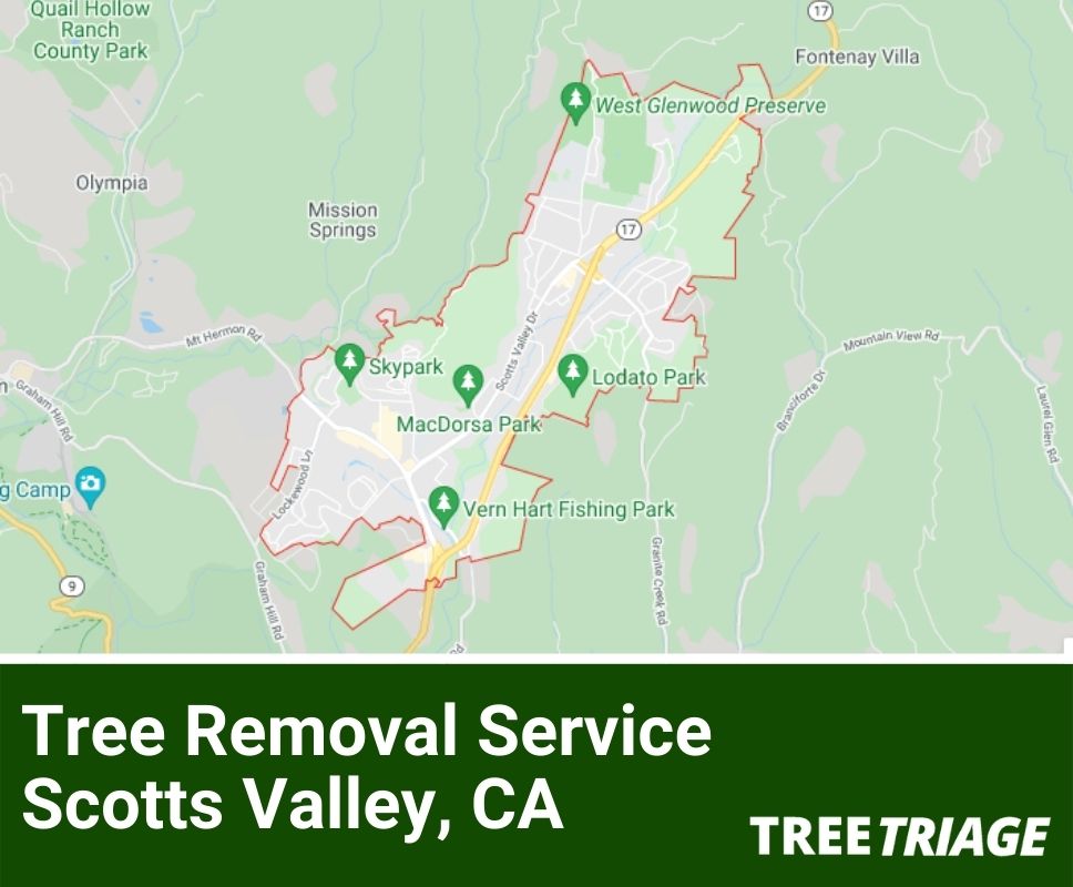 Tree Removal Service Scotts Valley, CA-1