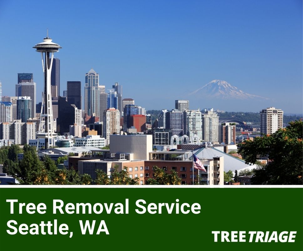 Tree Removal Service Seattle, WA-1