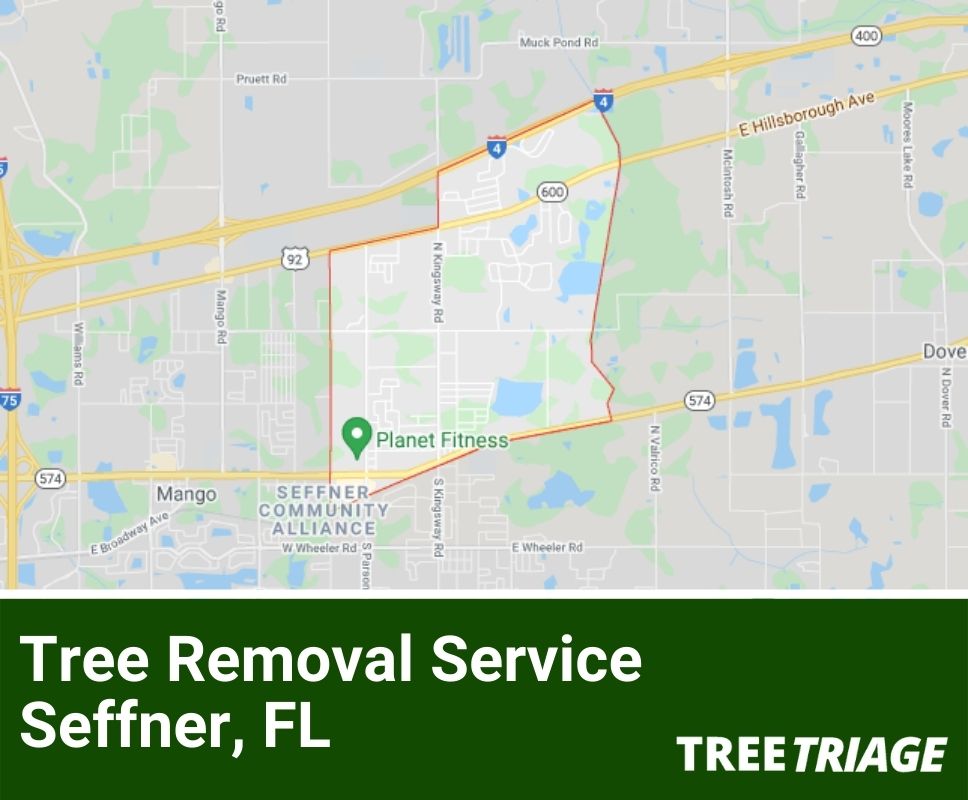 Tree Removal Service Seffner, FL-1