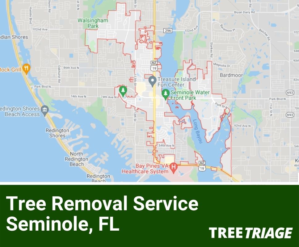 Tree Removal Service Seminole, FL-1