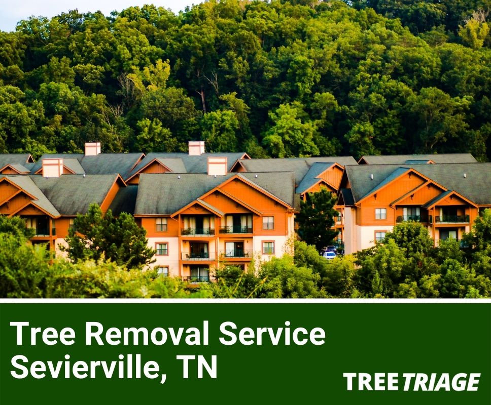 Tree Removal Service Sevierville, TN-1
