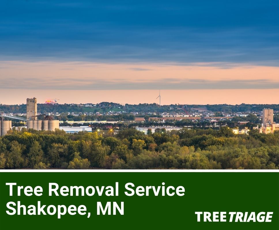 Tree Removal Service Shakopee, MN-1
