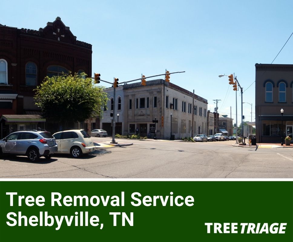 Tree Removal Service Shelbyville, TN-1