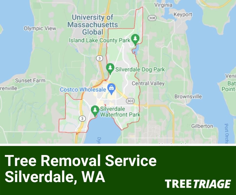 Tree Removal Service Silverdale, WA-1