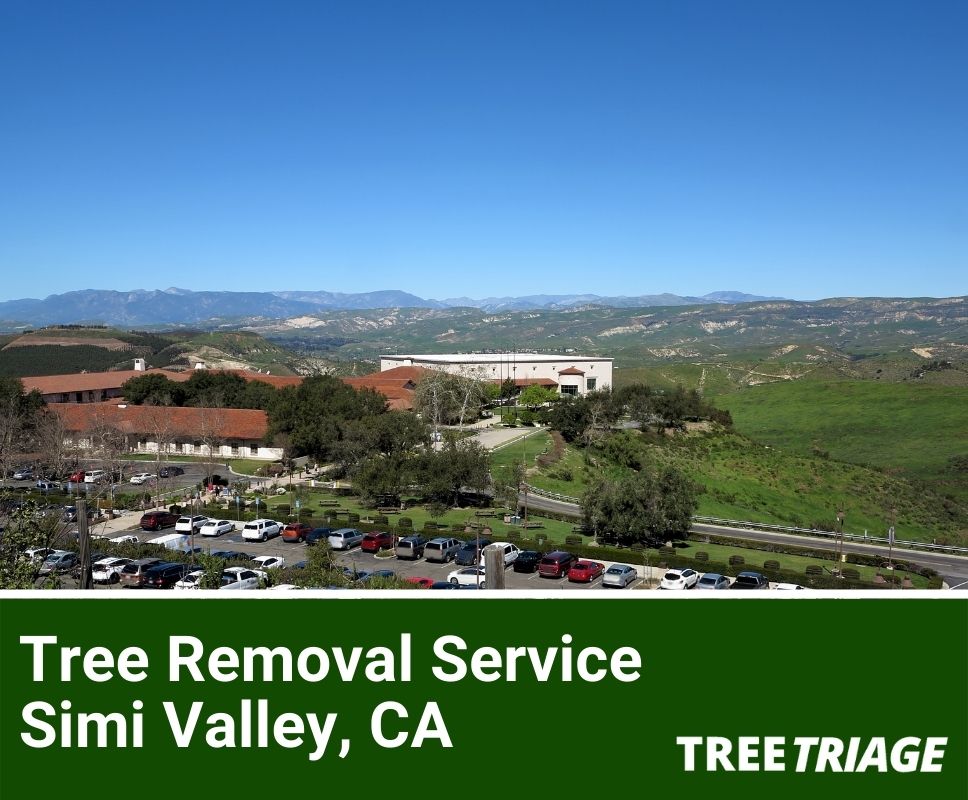 Tree Removal Service Simi Valley, CA-1