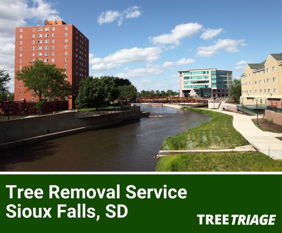 Tree Removal Service Sioux Falls, SD-1(1)