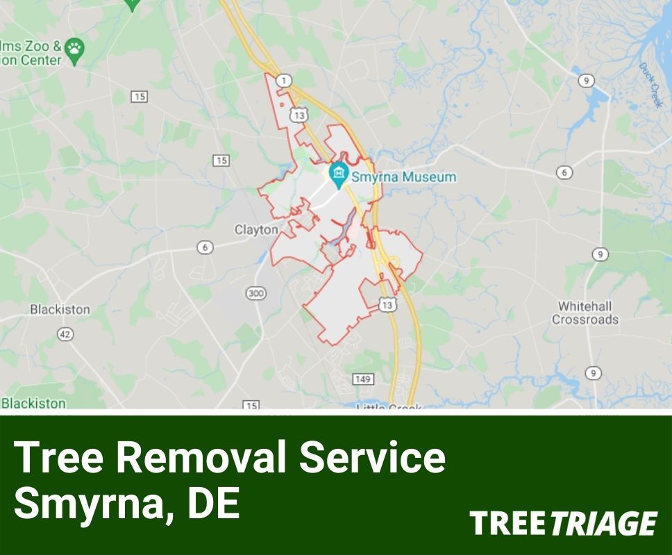 Tree Removal Service Smyrna, DE-1