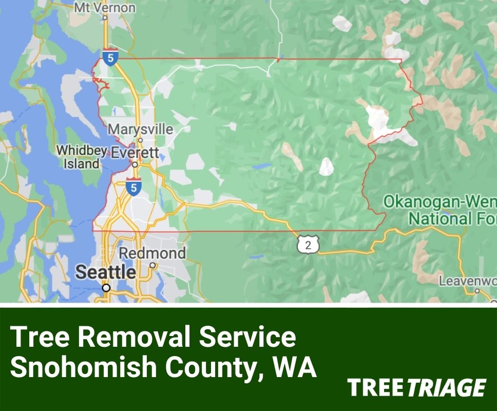 Tree Removal Service Snohomish County, WA(1)