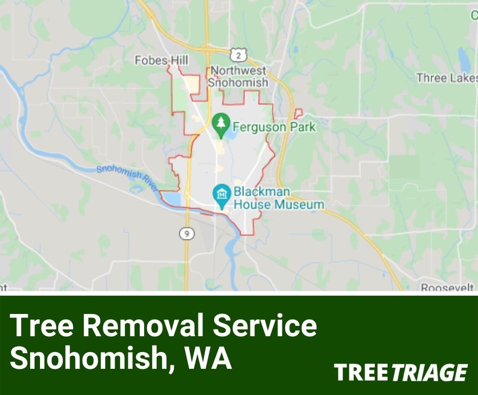 Tree Removal Service Snohomish, WA-1