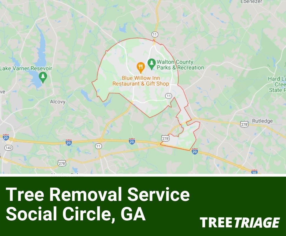Tree Removal Service Social Circle, GA-1
