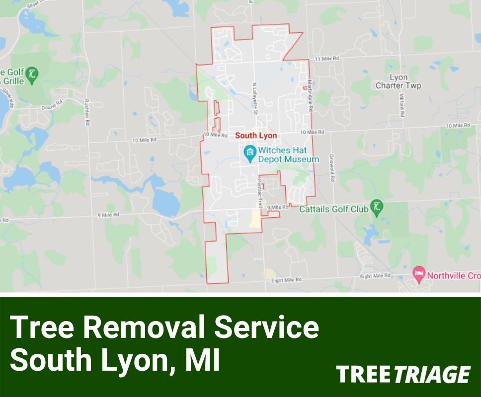Tree Removal Service South Lyon, MI-1