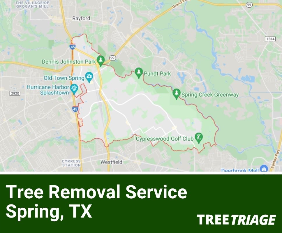Tree Removal Service Spring, TX-1