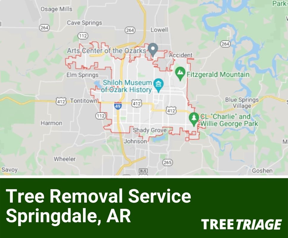 Tree Removal Service Springdale, AR-1