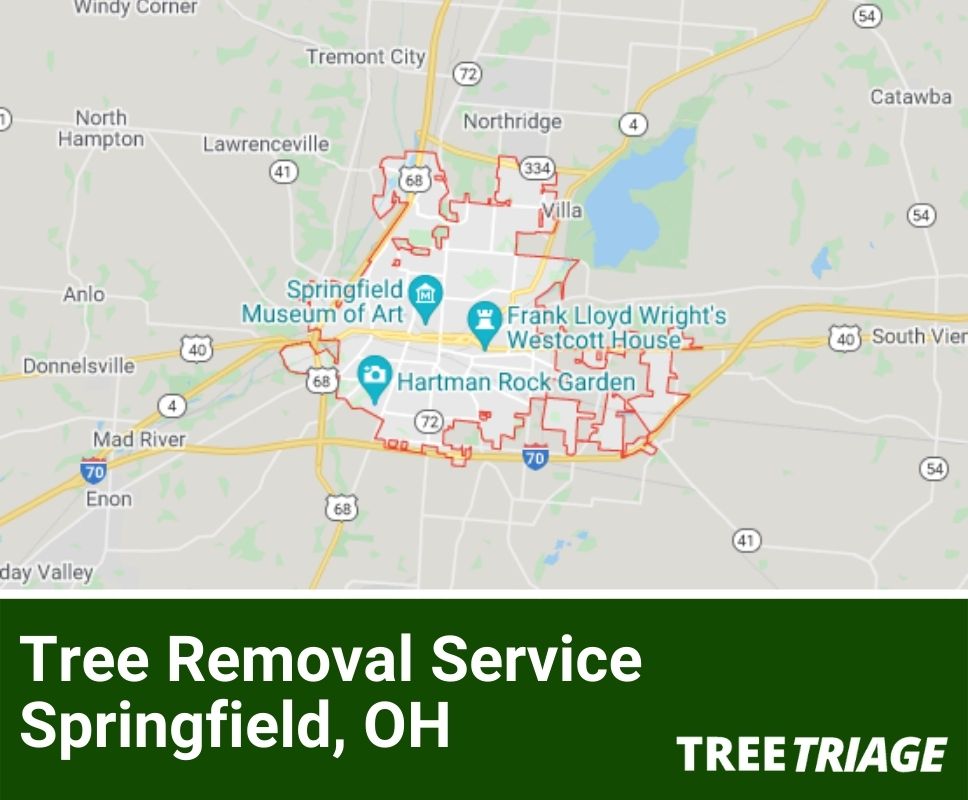 Tree Removal Service Springfield, OH-1(1)