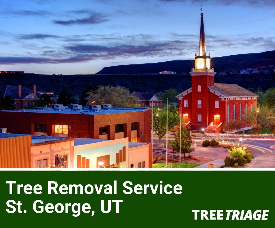 Tree Removal Service St. George, UT-1