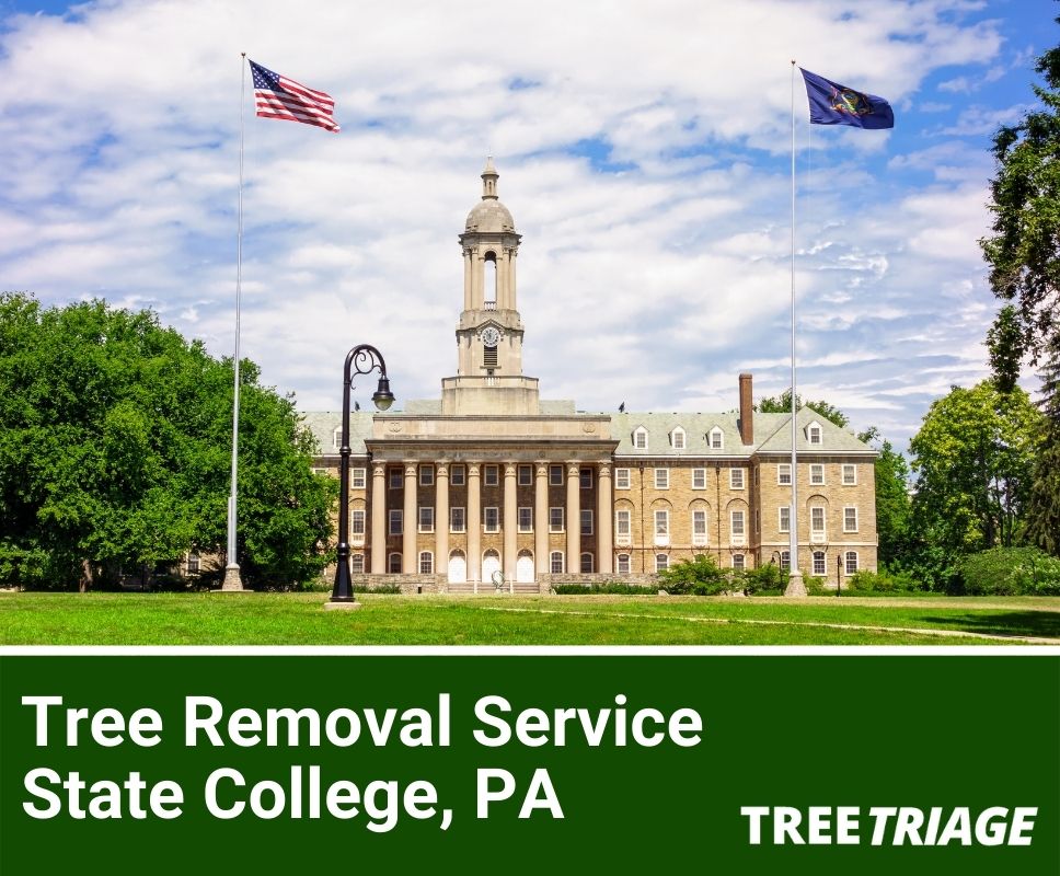 Tree Removal Service State College, PA-1