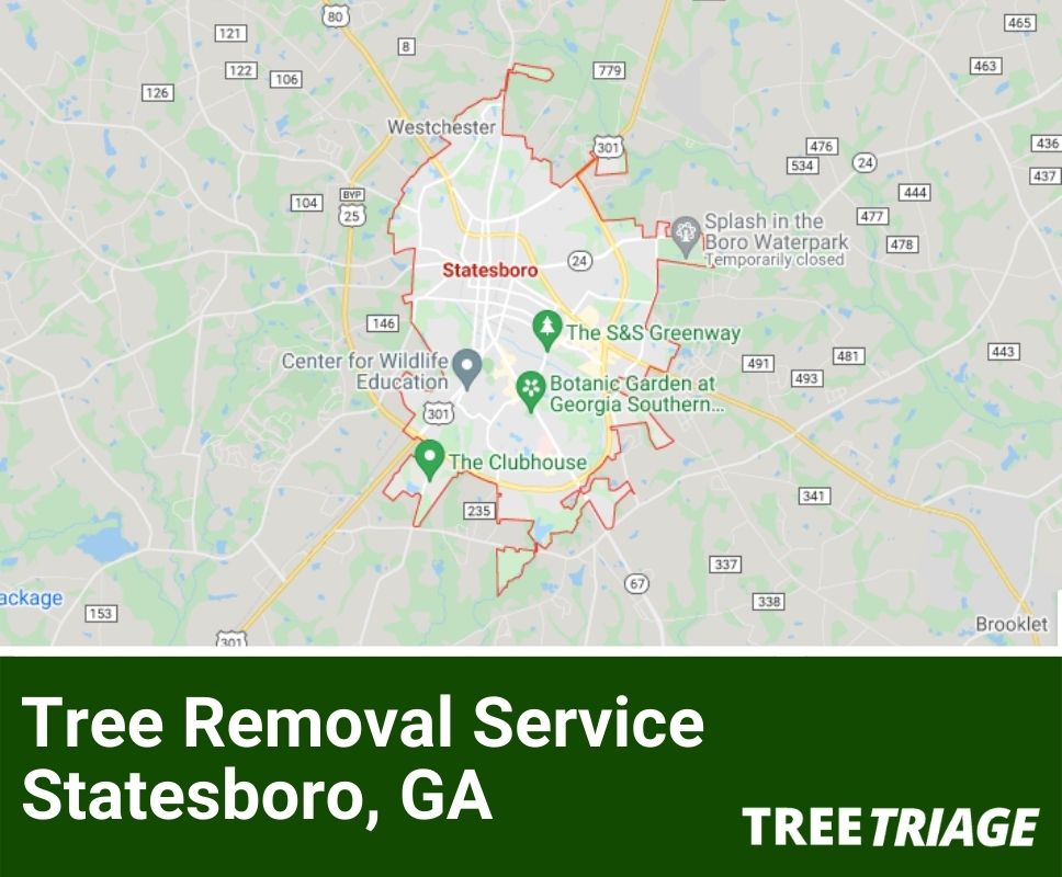 Tree Removal Service Statesboro, GA-1