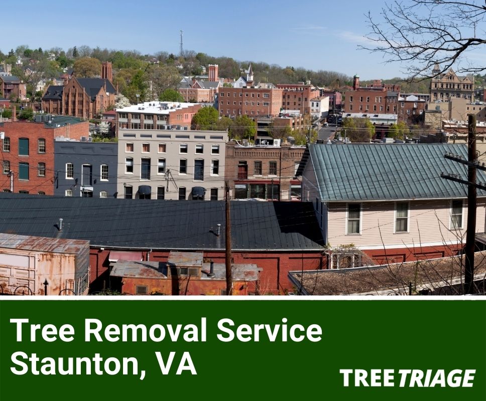 Tree Removal Service Staunton, VA-1