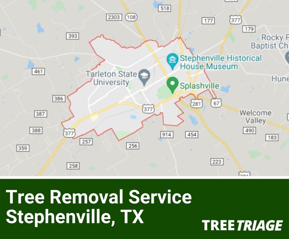 Tree Removal Service Stephenville, TX-1