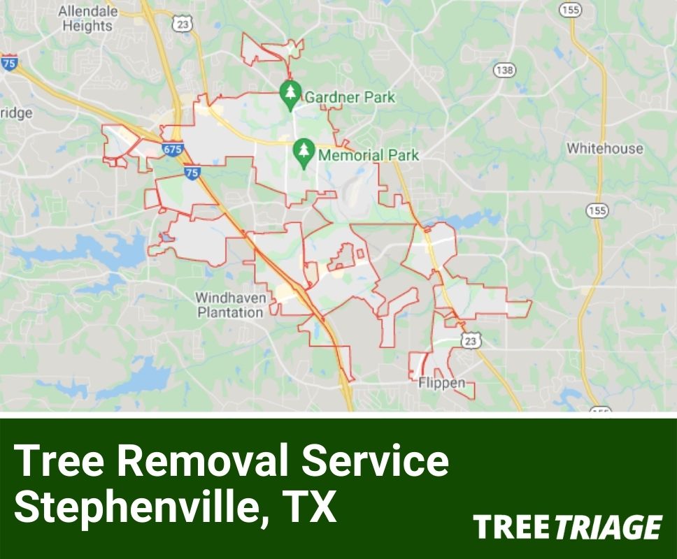 Tree Removal Service Stephenville, TX-1(1)
