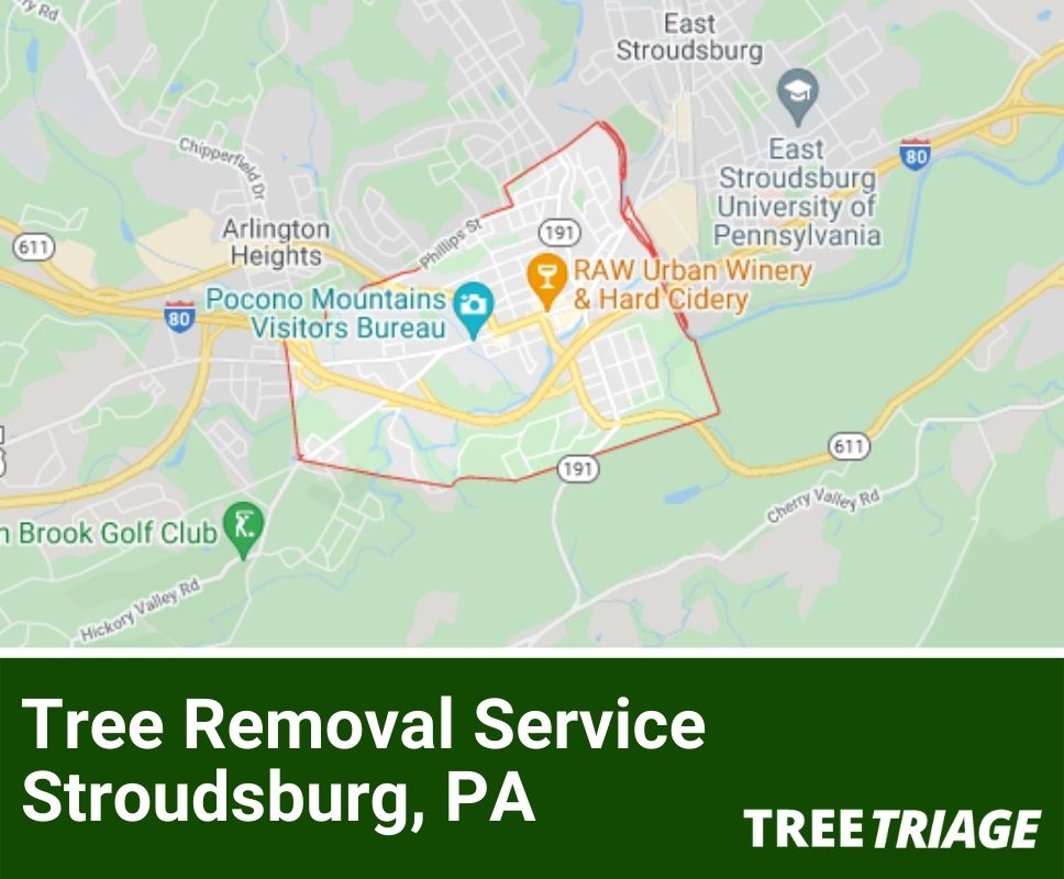Tree Removal Service Stroudsburg, PA-1