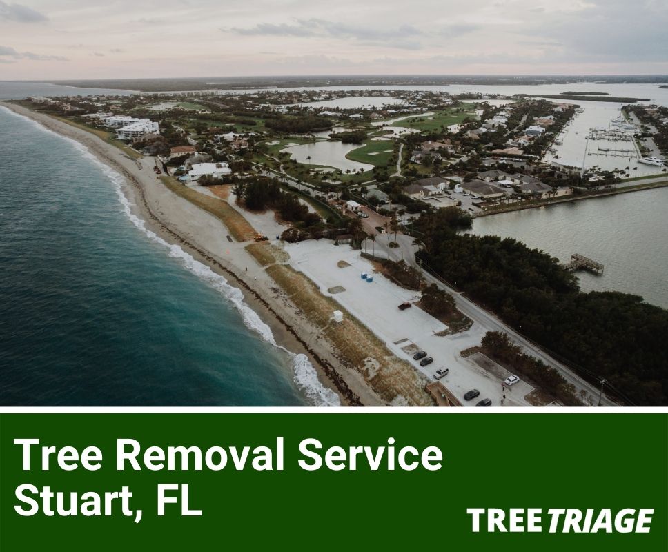 Tree Removal Service Stuart, FL-1