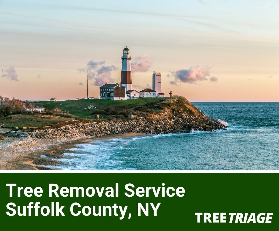 Tree Removal Service Suffolk County, NY-1