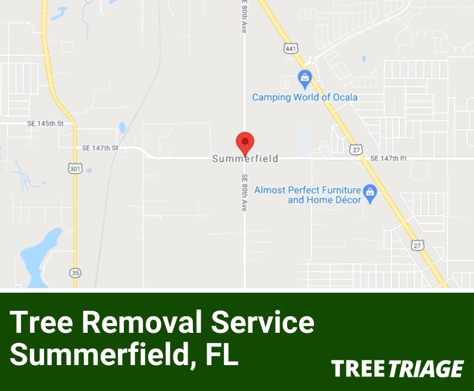 Tree Removal Service Summerfield, FL-1