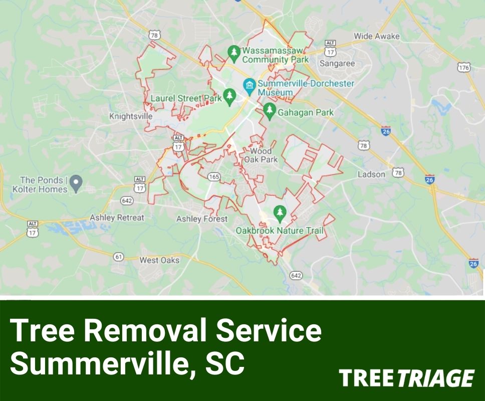 Tree Removal Service Summerville, SC-1