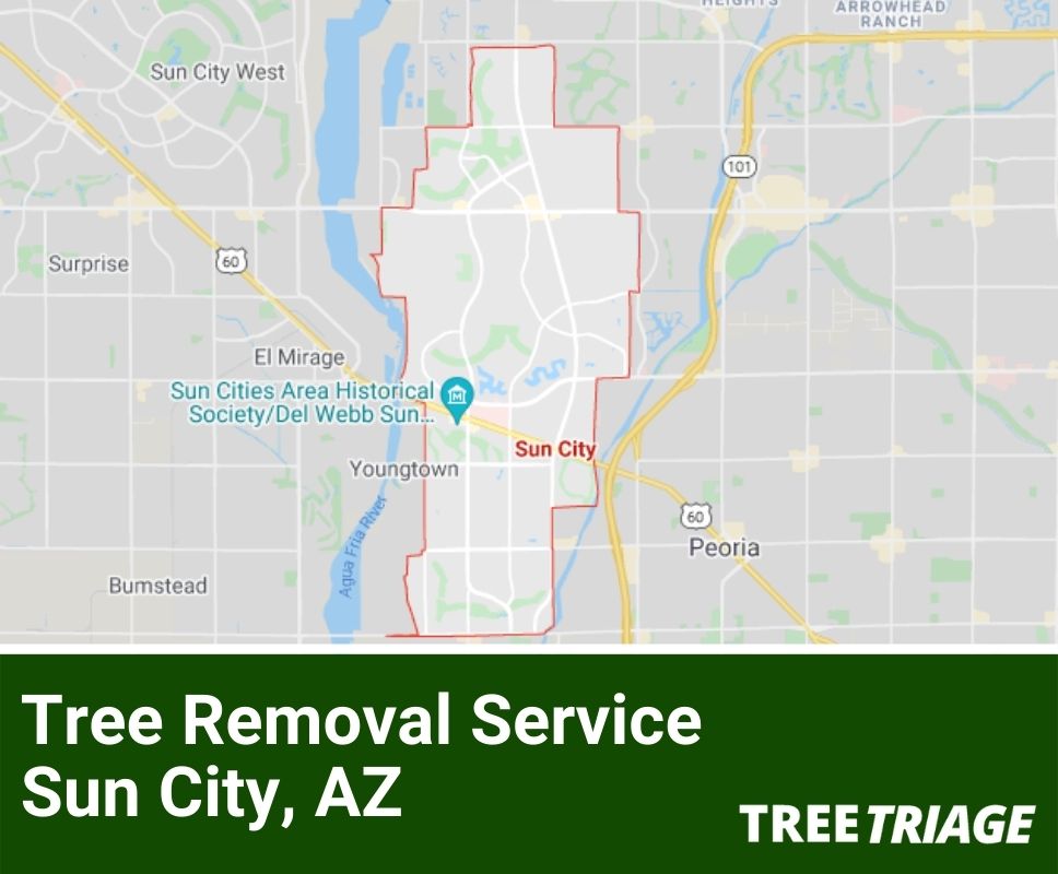 Tree Removal Service Sun City, AZ-1