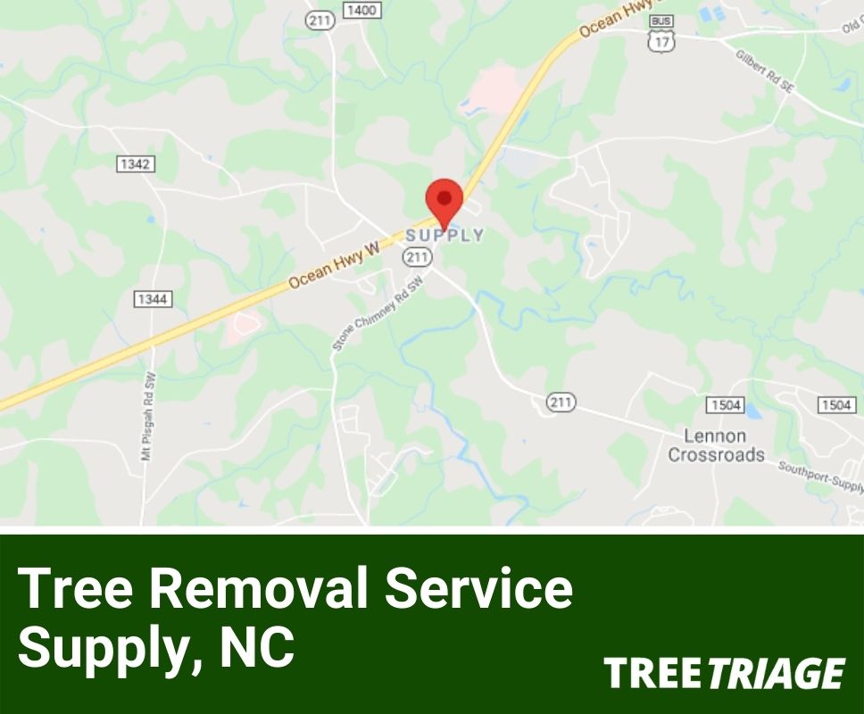 Tree Removal Service Supply, NC-1