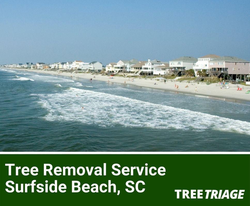 Tree Removal Service Surfside Beach, SC-1(1)