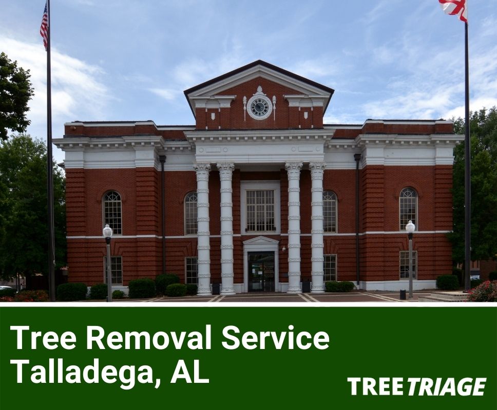 Tree Removal Service Talladega, AL-1