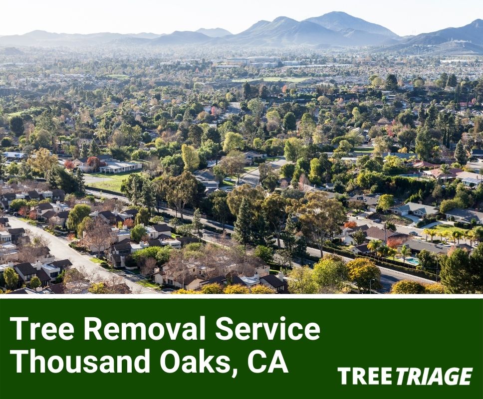 Tree Removal Service Thousand Oaks, CA-1(1)