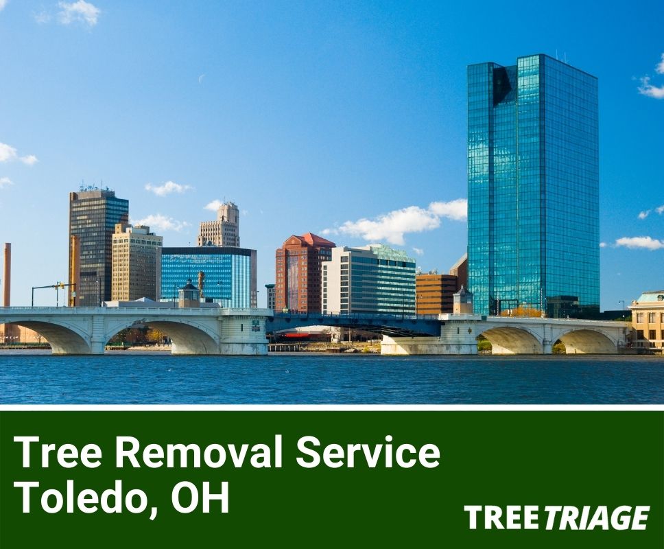 Tree Removal Service Toledo, OH-1