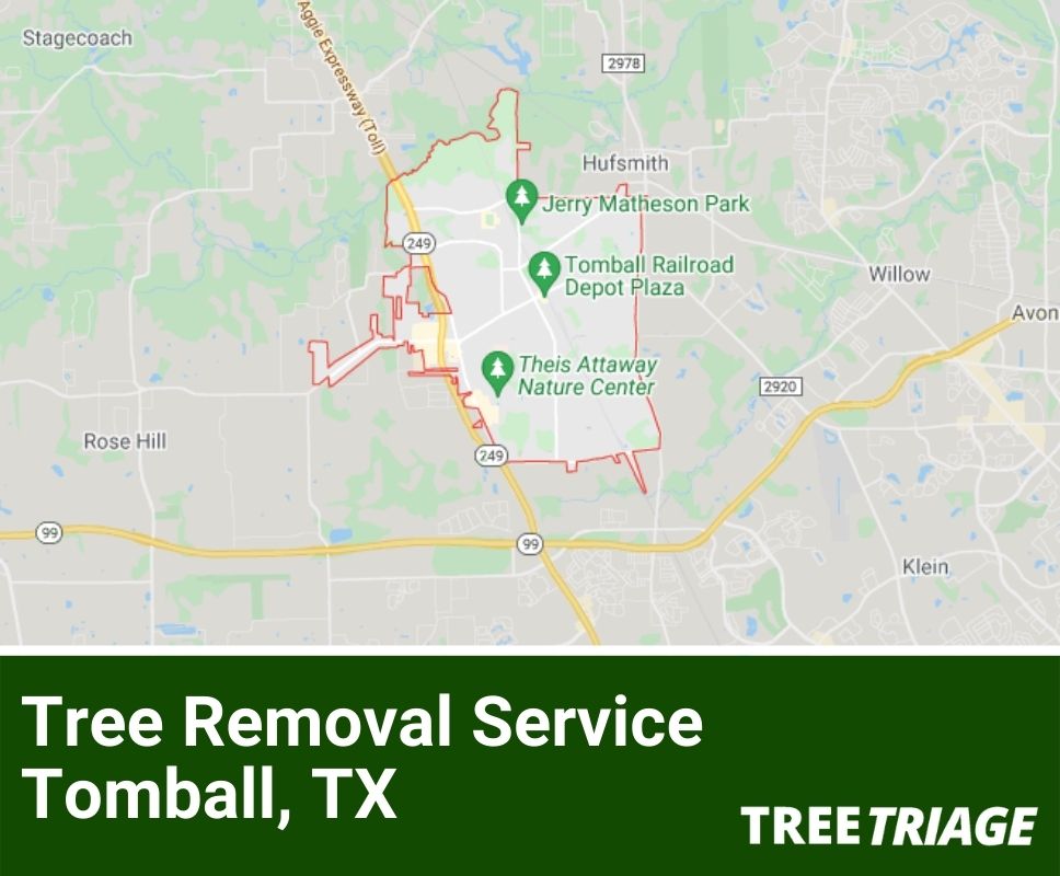 Tree Removal Service Tomball, TX-1