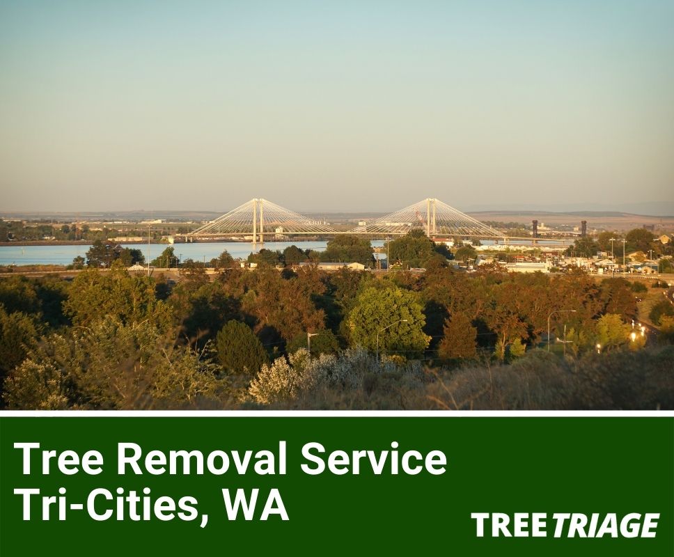 Tree Removal Service Tri-Cities, WA-1
