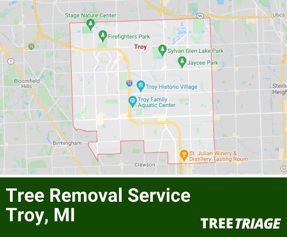 Tree Removal Service Troy, MI-1