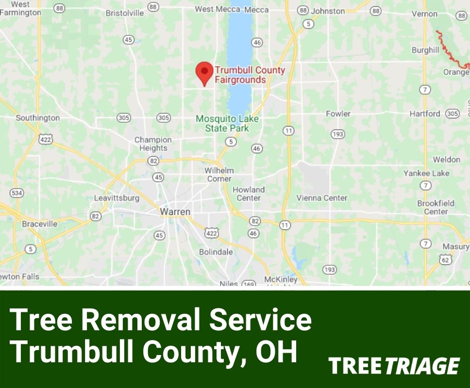 Tree Removal Service Trumbull County, OH-1