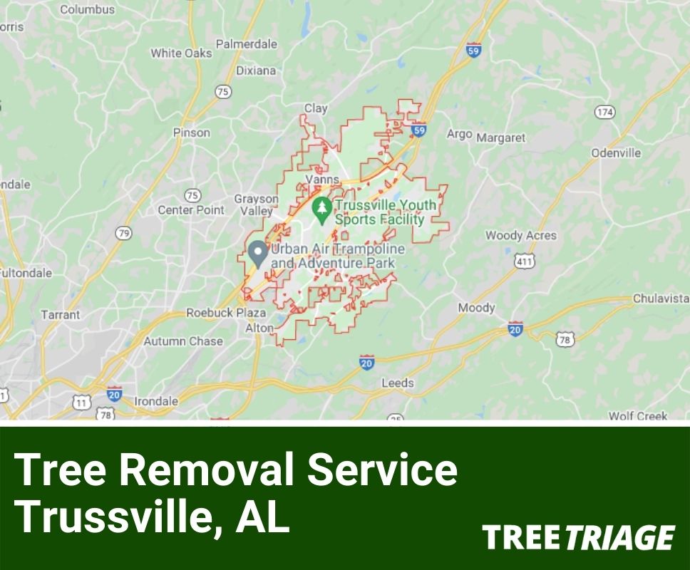 Tree Removal Service Trussville, AL-1