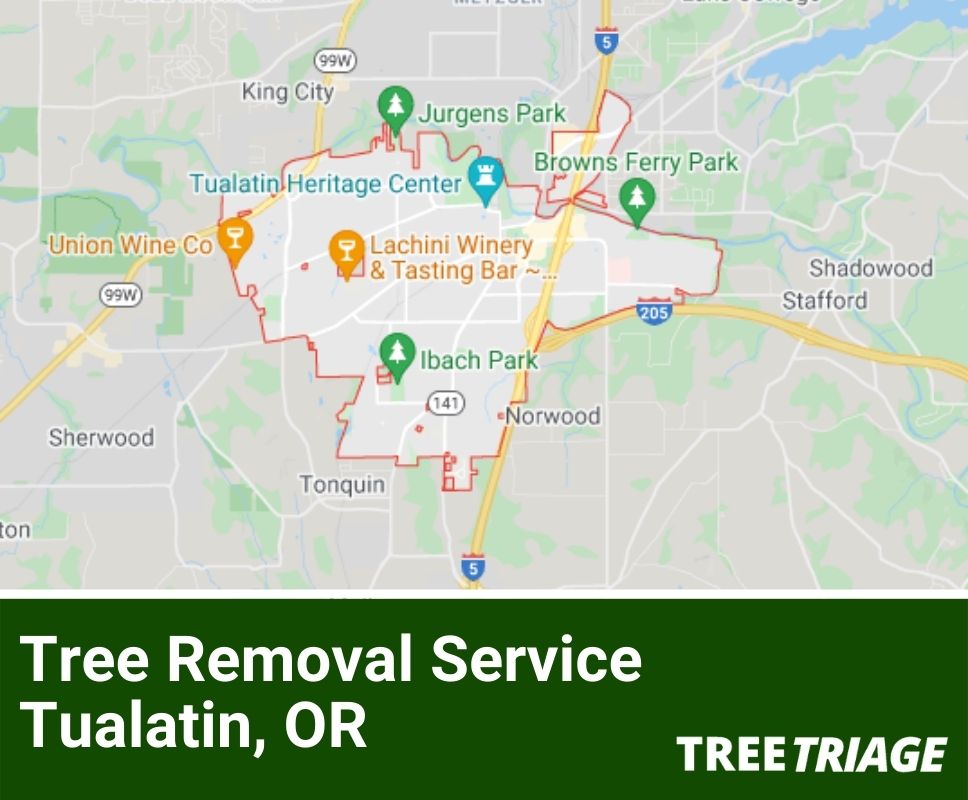 Tree Removal Service Tualatin, OR-1