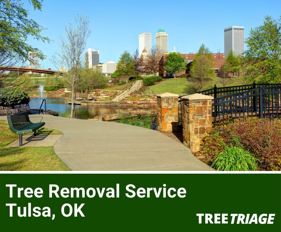 Tree Removal Service Tulsa, OK-1