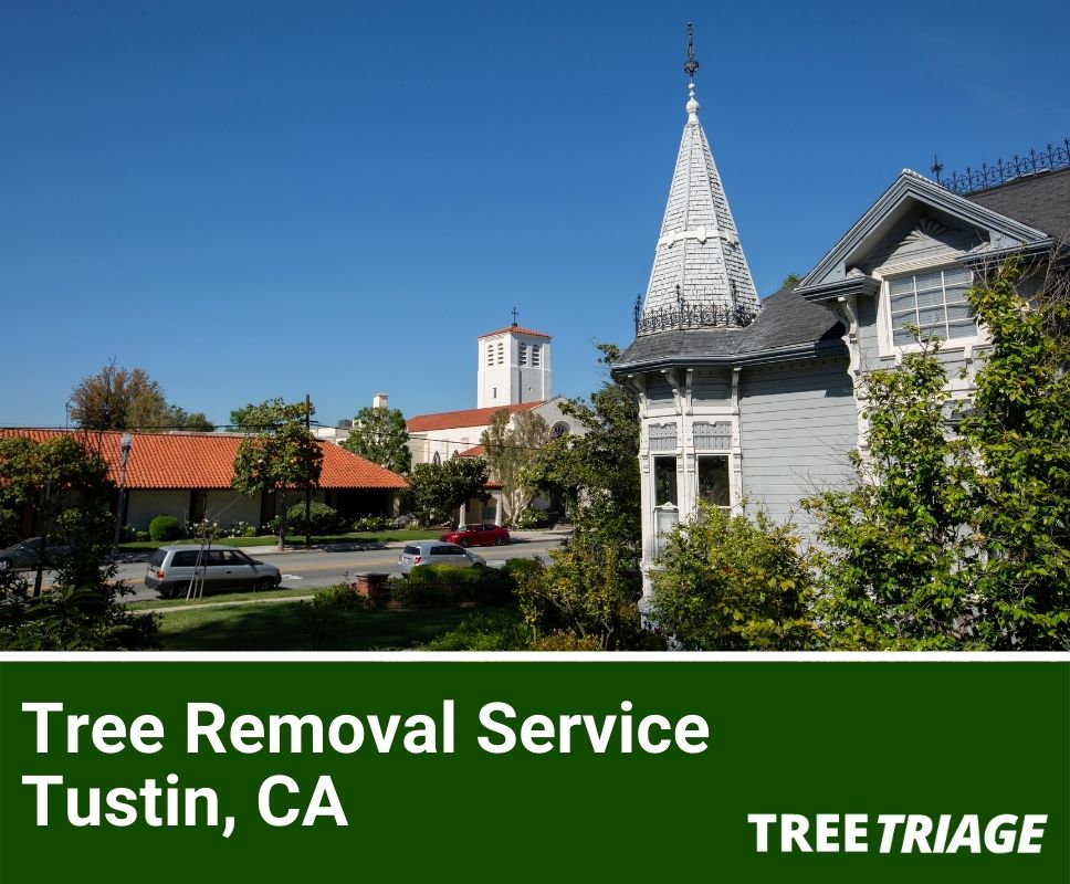 Tree Removal Service Tustin, CA-1
