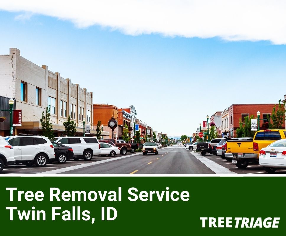 Tree Removal Service Twin Falls, ID-1(1)